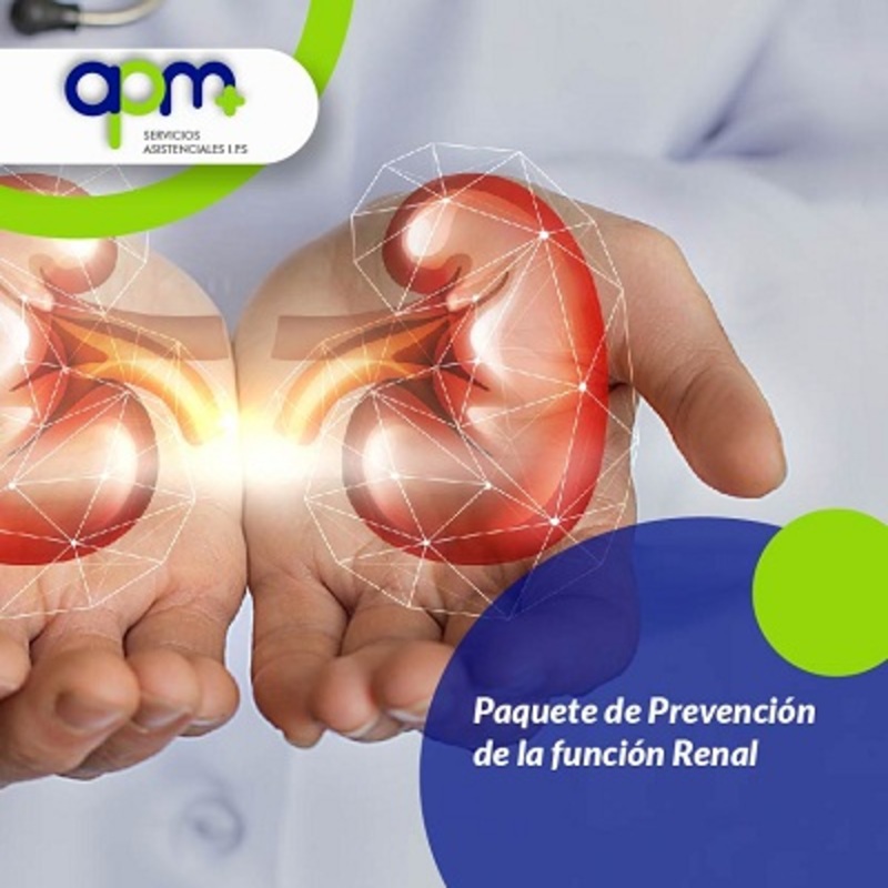 función Renal